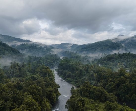 Kitulgala-River-Jungle-Drone